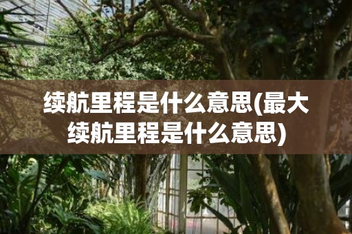 续航里程是什么意思(最大续航里程是什么意思)