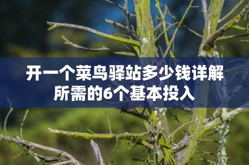 开一个菜鸟驿站多少钱详解所需的6个基本投入