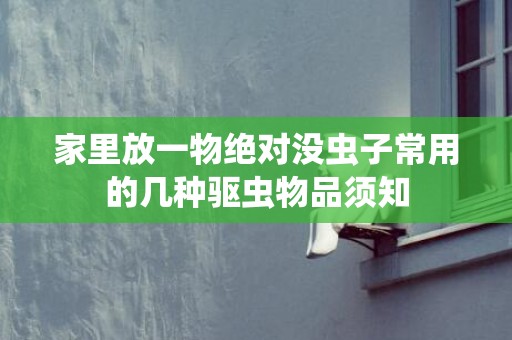 家里放一物绝对没虫子常用的几种驱虫物品须知