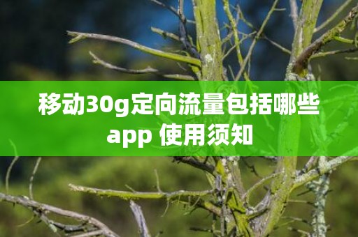 移动30g定向流量包括哪些app 使用须知