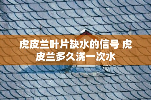 虎皮兰叶片缺水的信号 虎皮兰多久浇一次水