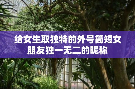 给女生取独特的外号简短女朋友独一无二的昵称