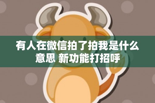 有人在微信拍了拍我是什么意思 新功能打招呼