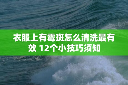 衣服上有霉斑怎么清洗最有效 12个小技巧须知