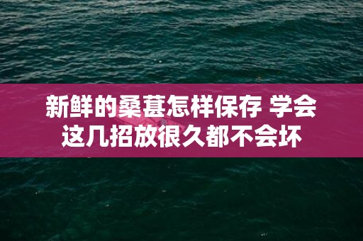 新鲜的桑葚怎样保存 学会这几招放很久都不会坏