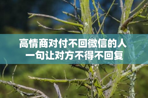 高情商对付不回微信的人 一句让对方不得不回复
