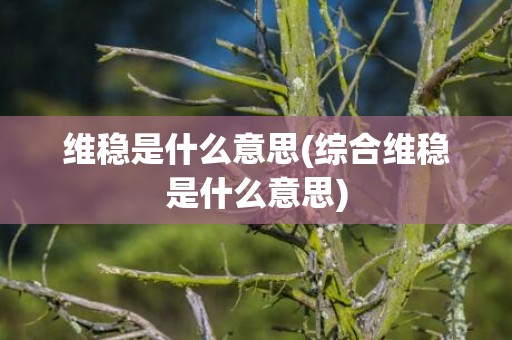 维稳是什么意思(综合维稳是什么意思)
