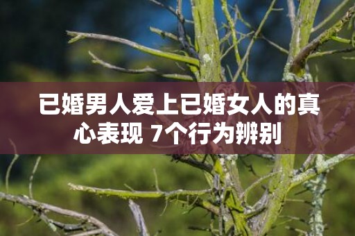 已婚男人爱上已婚女人的真心表现 7个行为辨别