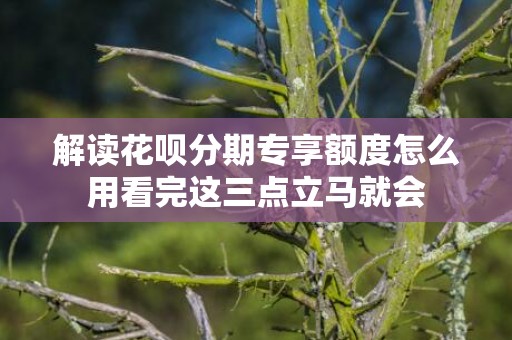 解读花呗分期专享额度怎么用看完这三点立马就会