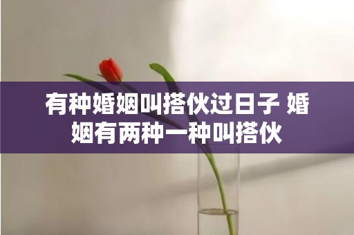 有种婚姻叫搭伙过日子 婚姻有两种一种叫搭伙