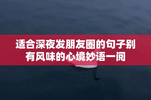 适合深夜发朋友圈的句子别有风味的心境妙语一阅