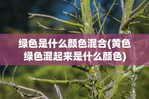 绿色是什么颜色混合(黄色绿色混起来是什么颜色)