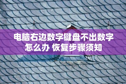 电脑右边数字键盘不出数字怎么办 恢复步骤须知