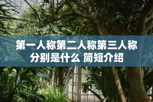 第一人称第二人称第三人称分别是什么 简短介绍