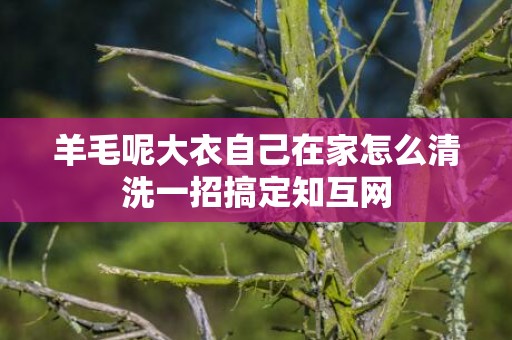 羊毛呢大衣自己在家怎么清洗一招搞定知互网