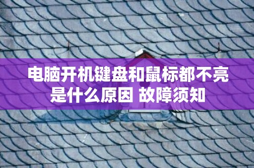 电脑开机键盘和鼠标都不亮是什么原因 故障须知