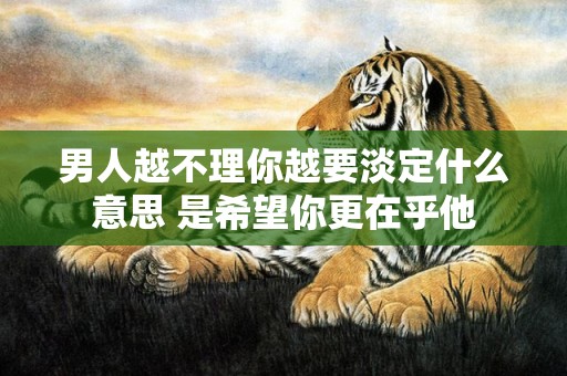 男人越不理你越要淡定什么意思 是希望你更在乎他