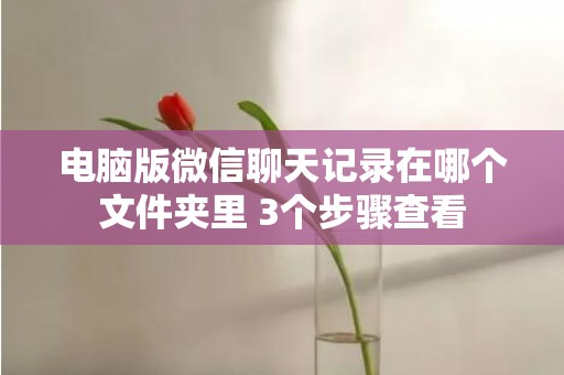 电脑版微信聊天记录在哪个文件夹里 3个步骤查看