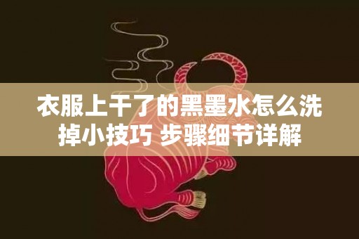 衣服上干了的黑墨水怎么洗掉小技巧 步骤细节详解
