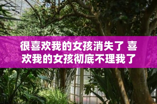 很喜欢我的女孩消失了 喜欢我的女孩彻底不理我了