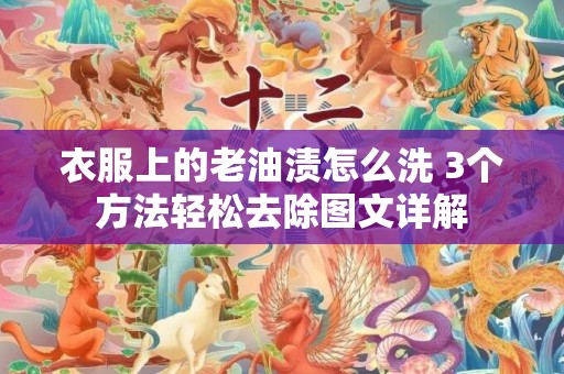 衣服上的老油渍怎么洗 3个方法轻松去除图文详解