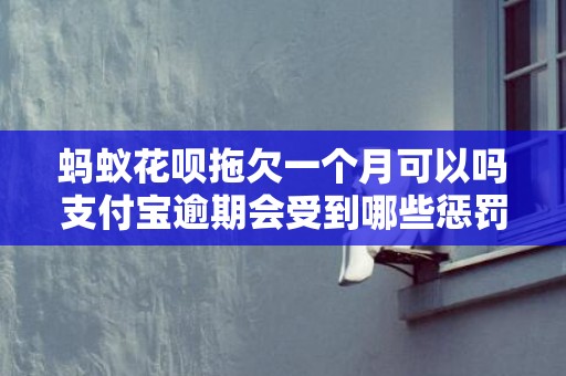蚂蚁花呗拖欠一个月可以吗支付宝逾期会受到哪些惩罚
