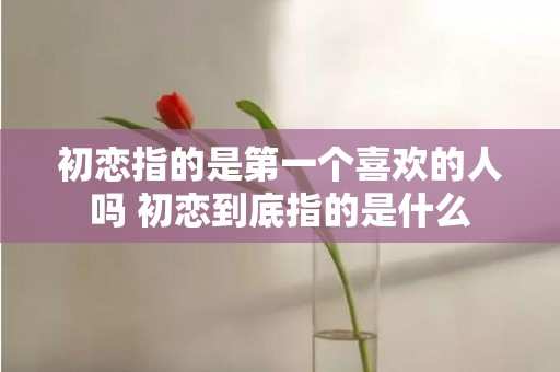 初恋指的是第一个喜欢的人吗 初恋到底指的是什么
