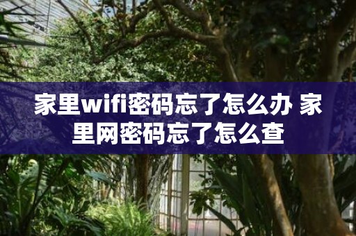 家里wifi密码忘了怎么办 家里网密码忘了怎么查