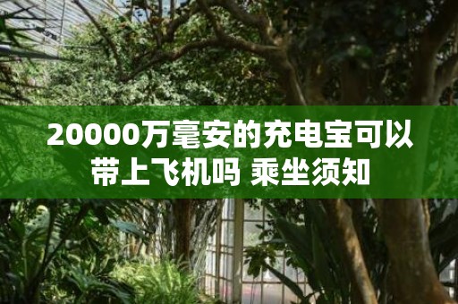 20000万毫安的充电宝可以带上飞机吗 乘坐须知
