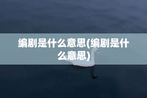 编剧是什么意思(编剧是什么意思)