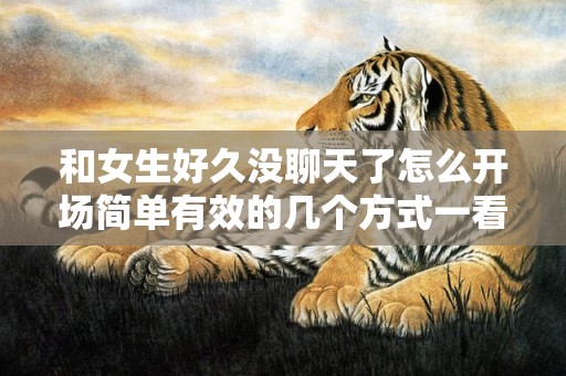 和女生好久没聊天了怎么开场简单有效的几个方式一看