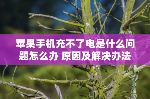 苹果手机充不了电是什么问题怎么办 原因及解决办法