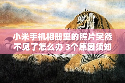 小米手机相册里的照片突然不见了怎么办 3个原因须知