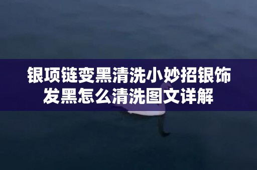 银项链变黑清洗小妙招银饰发黑怎么清洗图文详解