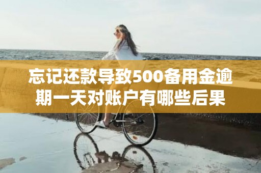 忘记还款导致500备用金逾期一天对账户有哪些后果