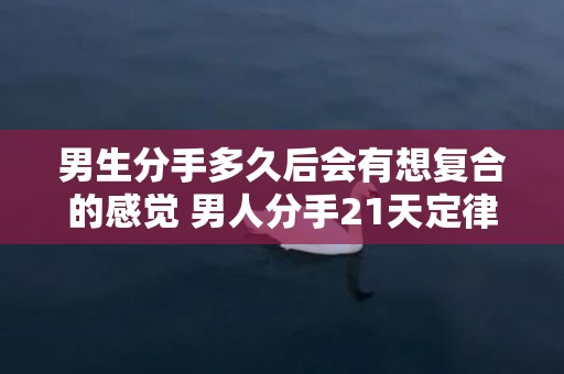 男生分手多久后会有想复合的感觉 男人分手21天定律
