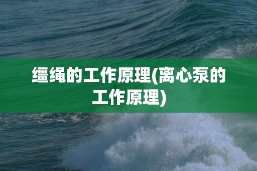 缰绳的工作原理(离心泵的工作原理)