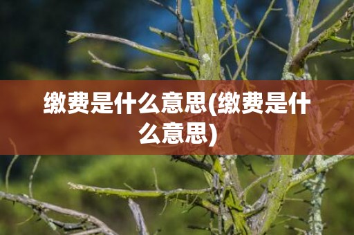 缴费是什么意思(缴费是什么意思)