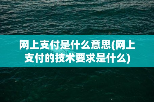 网上支付是什么意思(网上支付的技术要求是什么)