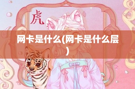 网卡是什么(网卡是什么层)