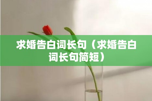 求婚告白词长句（求婚告白词长句简短）