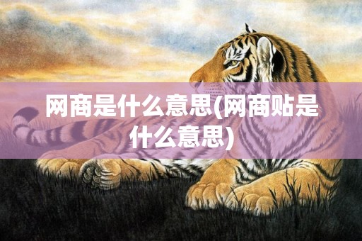 网商是什么意思(网商贴是什么意思)