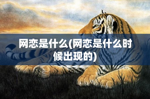 网恋是什么(网恋是什么时候出现的)