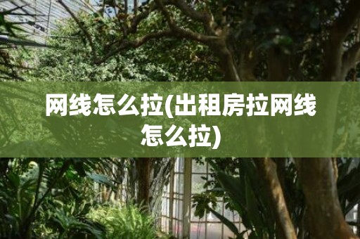 网线怎么拉(出租房拉网线怎么拉)