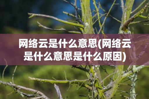 网络云是什么意思(网络云是什么意思是什么原因)