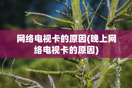 网络电视卡的原因(晚上网络电视卡的原因)