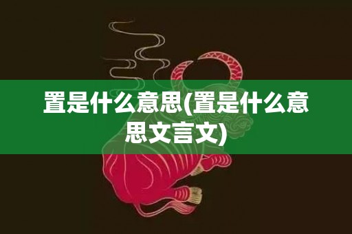 置是什么意思(置是什么意思文言文)