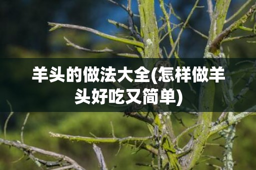羊头的做法大全(怎样做羊头好吃又简单)