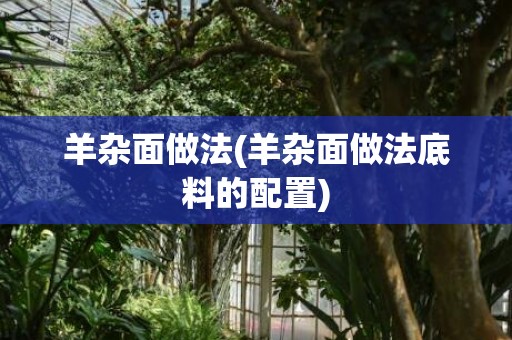 羊杂面做法(羊杂面做法底料的配置)