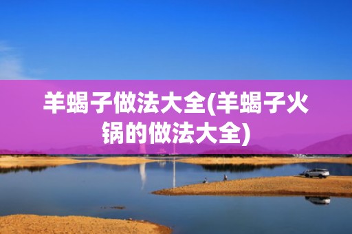 羊蝎子做法大全(羊蝎子火锅的做法大全)